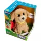 Hafici interaktív kutya - Retriever