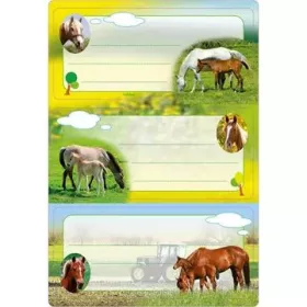 Herma: lovas füzet címke