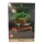 LEGO Bonsai fa építőjáték – 10281