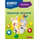 Logico Piccolo: Anyanyelv - Szinonimák, ellentétek