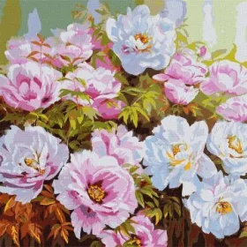   Ideyka: Festés számok szerint, Pünkösdi rózsák - 50 x 50 cm