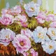 Ideyka: Festés számok szerint, Pünkösdi rózsák - 50 x 50 cm