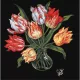 Ideyka: Festés számok szerint, Kecses tulipánok - 40 x 40 cm