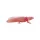 Axolotl - kézzel festett figura