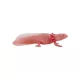 Axolotl - kézzel festett figura