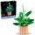 LEGO® Botanicals Vitorlavirág 11504