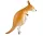Kenguru Kangaroo sétáló fólia lufi 82 cm