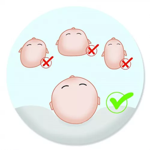 Scamp laposfejûség elleni párna Manhattan Blue BLP010