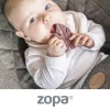 Zopa rágóka szilikon Levél rózsaszín
