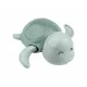 Kikkaboo vízhõmérõ Teknõs menta