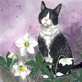   Képeslap Alex Clark borítékkal, 14x14 cm, cica virágokkal