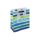 Dísztasak Clairefontaine/Eurowrap 21,5x25,3 cm csíkos HBD férfi