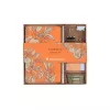 Kollekció Clairefontaine Jardin des Sens jegyzetfüzet, ceruza, binder csipesz, kapocs, radír
