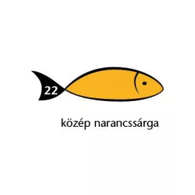   Karton Rainbow 50x70 cm 230g pasztell közép narancssárga 22