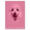 Füzet Pigna Monocromo Pink A/4 tűzött 38 lapos kockás