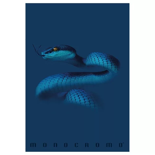 Füzet Pigna Monocromo Blue A/4 tűzött 38 lapos kockás
