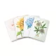 Füzet Pigna Flower special A/4 tűzött 42 lapos kockás margós