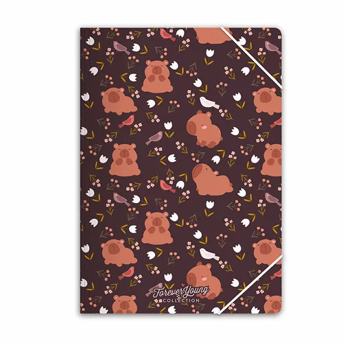 Gumis mappa Forever Young A/4 Capybara