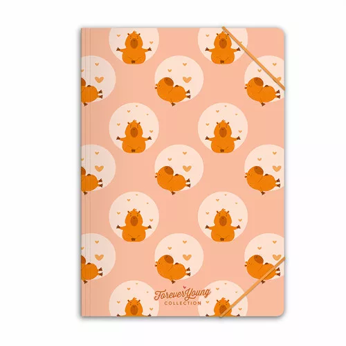 Gumis mappa Forever Young A/4 Capybara
