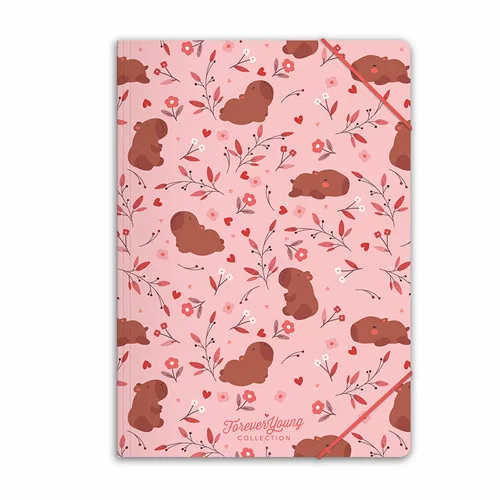 Gumis mappa Forever Young A/4 Capybara