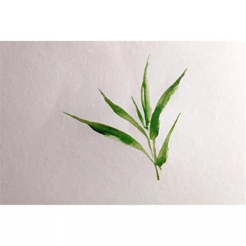 Művészeti rajztömb Clairefontaine Bamboo 32x24 cm 20 lap 250g fekvő akvarell technikához