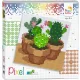 Pixelhobby  44009 Pixel 4 Alaplapos szett - Kaktusz