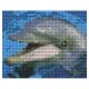 Pixelhobby  801001 Delfin szett