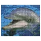 Pixelhobby  801001 Delfin szett