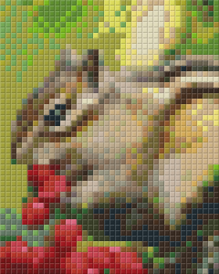 Pixelhobby  801236 Mókus kreatív szett 10,x12,7cm 1 alaplapos