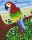 Pixelhobby  801251 Papagáj kreatív szett 10,x12,7cm 1 alaplapos