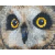 Pixelhobby  801309 Bagoly kreatív szett 12,7x10,1cm