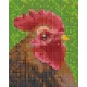 Pixelhobby  801316 Kakas kreatív szett 10,x12,7cm 1 alaplapos