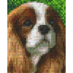 Pixelhobby  801319 Spániel szett 1 alaplapos (10,1X12,7CM)