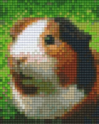 Pixelhobby  801325 Tengerimalac (10,1x12,7cm)