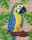 Pixelhobby  801430 Papagáj szett (10,1x12,7cm)