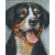 Pixelhobby  801450 Kutya kreatív szett 10,x12,7cm 1 alaplapos