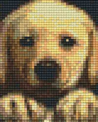Pixelhobby  801451 Kis kutya kreatív szett 10,x12,7cm 1 alaplapos