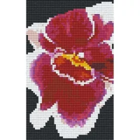   Pixelhobby  802008 Vörös-fehér orchidea szett (10,7x20,3cm)