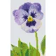 Pixelhobby  802052 Virág szett (12,7x20,3cm)