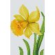 Pixelhobby  802054 Virág szett (12,7x20,3cm)