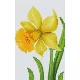 Pixelhobby  802054 Virág szett (12,7x20,3cm)