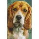 Pixelhobby  802092 Beagle (10,7x20,3cm)
