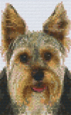 Pixelhobby  802094 Yorkshire terrier szett (12,7x20,3cm)
