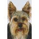 Pixelhobby  802094 Yorkshire terrier szett (12,7x20,3cm)