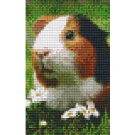 Pixelhobby  802099 Tengerimalac szett (12,7x20,3cm)