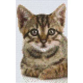 Pixelhobby  802104 Cica szett (12,7x20,3cm)