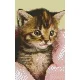 Pixelhobby  802105 Cica takaróval szett