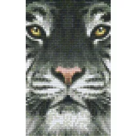 Pixelhobby  802107 Fehér tigris szett (12,7x20,3cm)