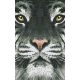Pixelhobby  802107 Fehér tigris szett (12,7x20,3cm)