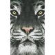 Pixelhobby  802107 Fehér tigris szett (12,7x20,3cm)